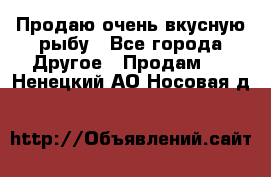 Продаю очень вкусную рыбу - Все города Другое » Продам   . Ненецкий АО,Носовая д.